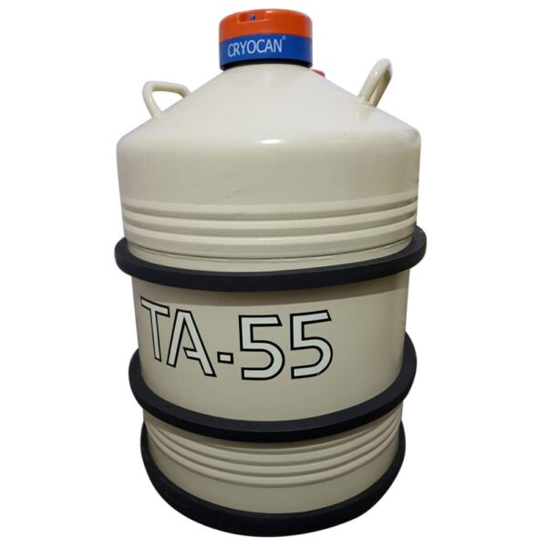 liquid nitrogen container